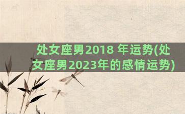 处女座男2018 年运势(处女座男2023年的感情运势)